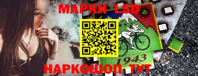 бошки Сланцы