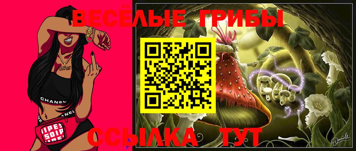 Псилоцибиновые грибы мицелий  Вход с VPN  Псилоцибиновые грибы мухоморы  Наро-Фоминск 